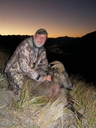 Bull Tahr